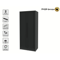 Шкаф распашной Тренд КТ-Ш2 (Антрацит ЛДСП/ Черный ЛМДФ) Ш918 В2128 Г547